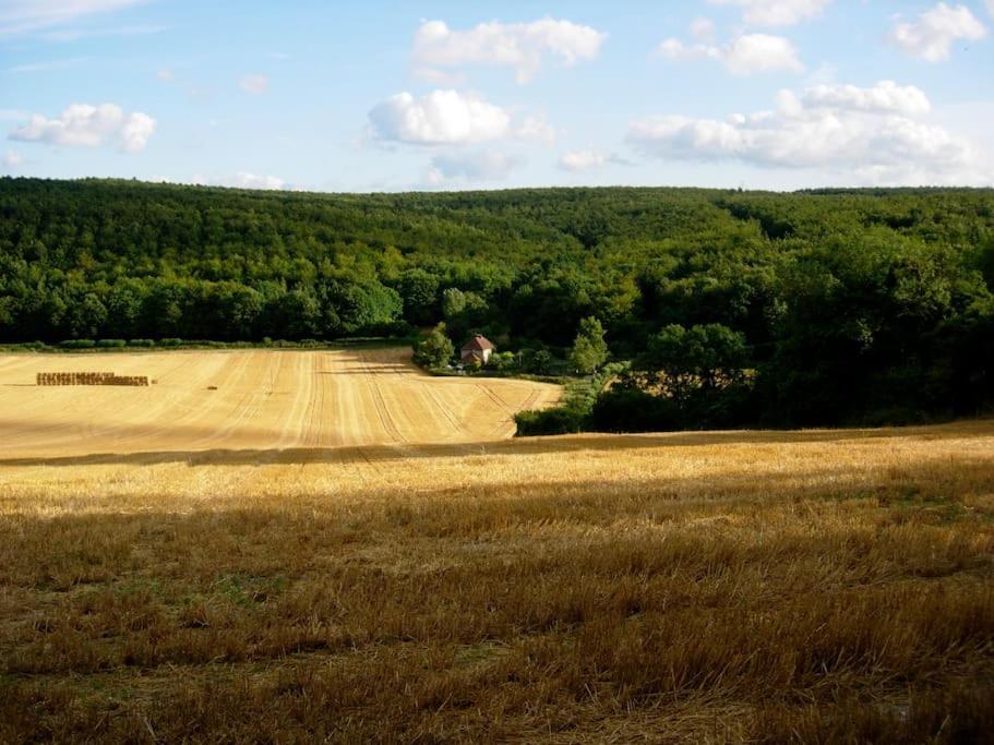 فيلا Luxury Barn With Tennis Court In South Downs National Park شيشستر المظهر الخارجي الصورة